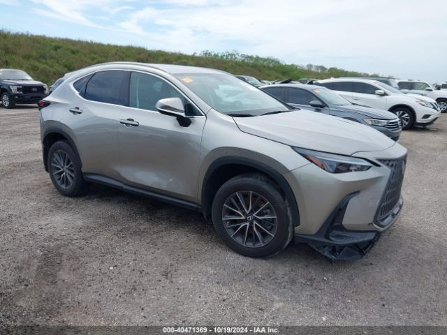 LEXUS NX 2024 2t2adcaz0rc008282