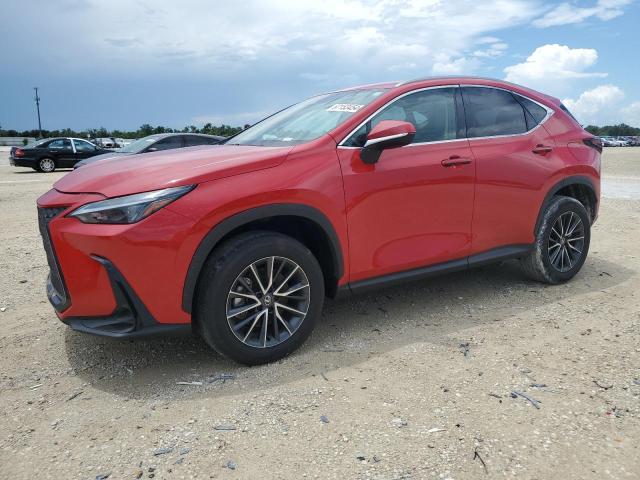 LEXUS NX 250 BAS 2024 2t2adcaz1rc007075