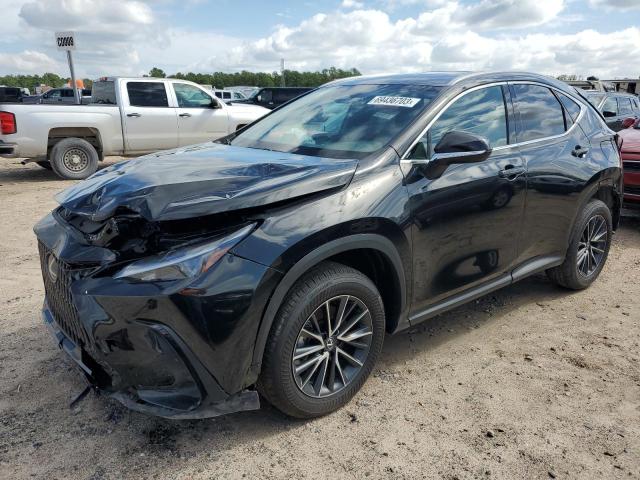 LEXUS NX 250 BAS 2024 2t2adcaz1rc009859