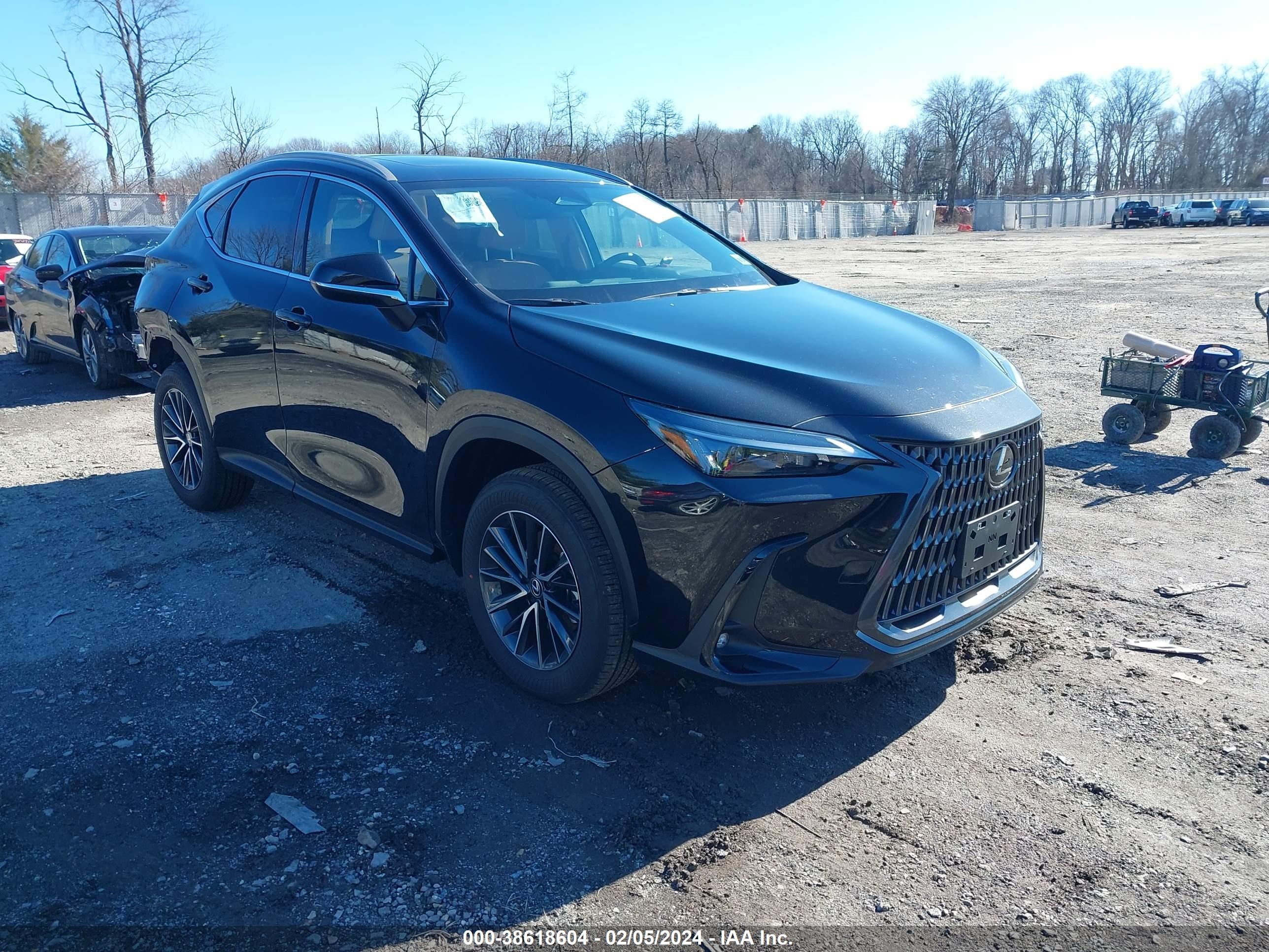 LEXUS NX 2024 2t2adcaz3rc010074