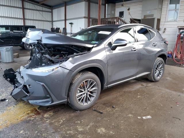 LEXUS NX 250 2022 2t2adcaz5nc002388