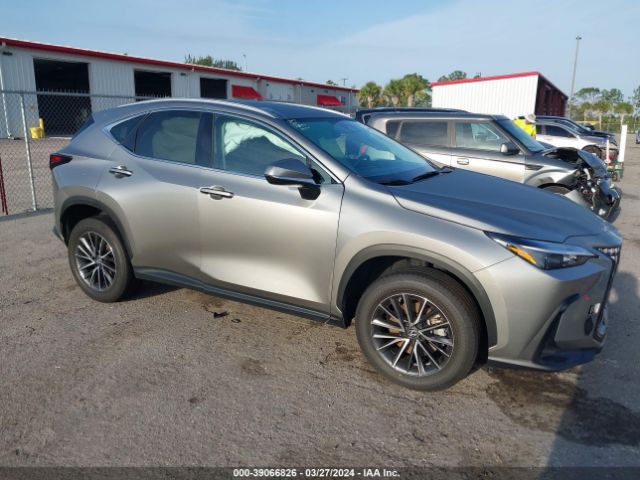 LEXUS NX 250 2022 2t2adcaz5nc002634