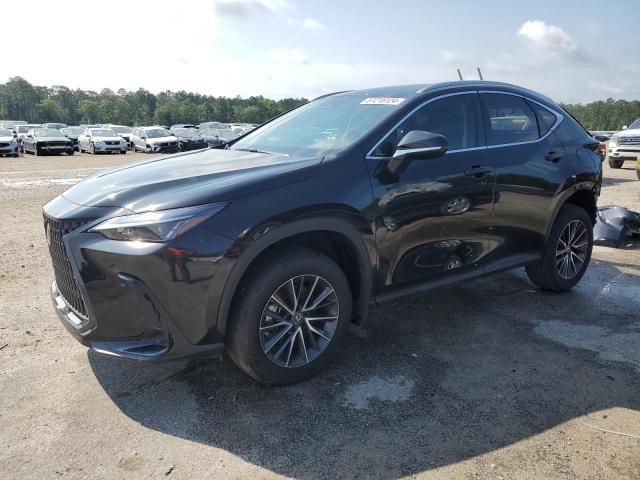 LEXUS NX 250 BAS 2024 2t2adcaz5rc008584