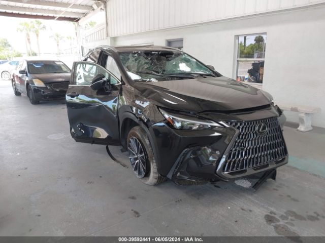 LEXUS NX 2024 2t2adcaz5rc012067