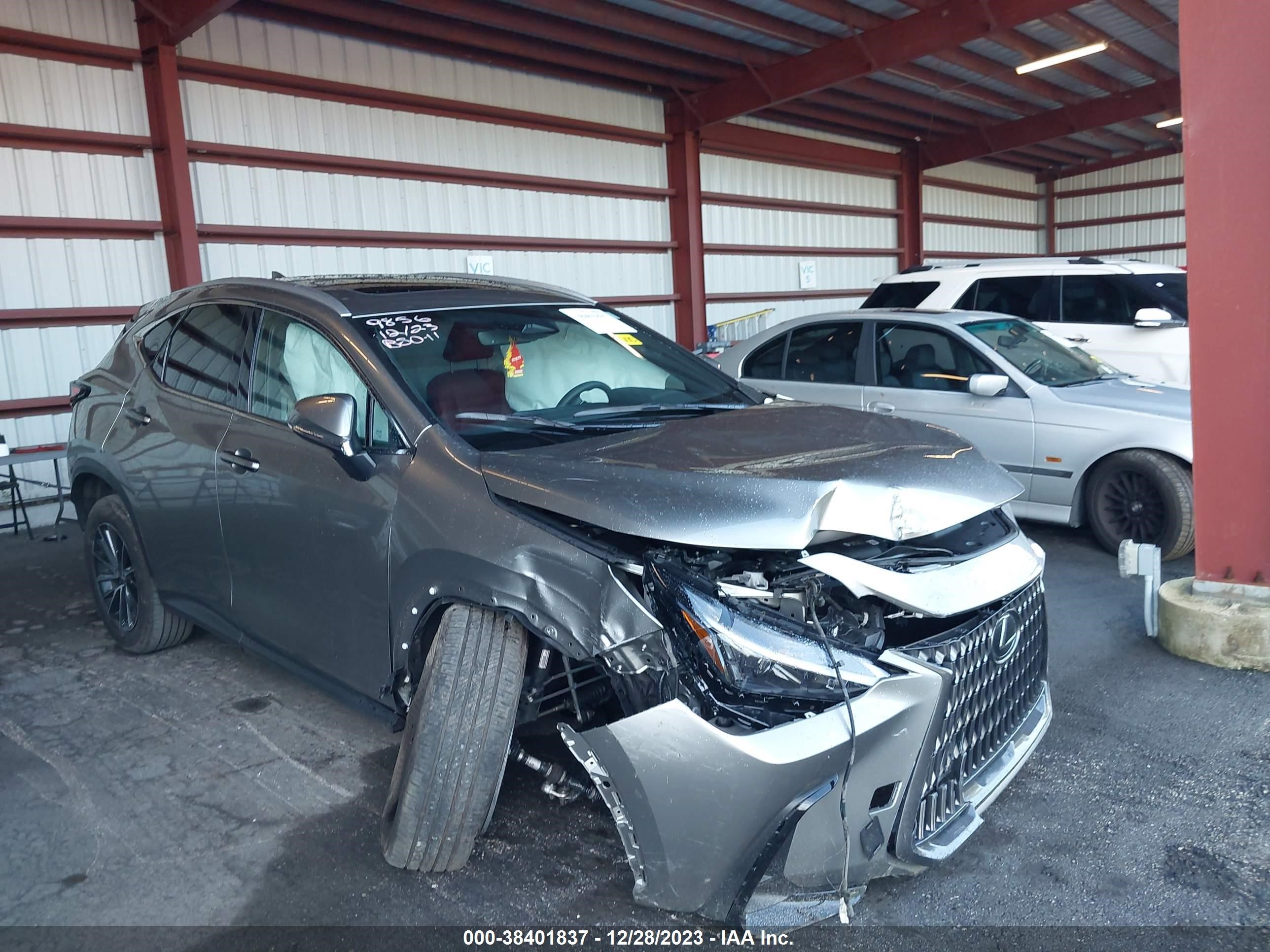 LEXUS NX 2024 2t2adcaz6rc009856