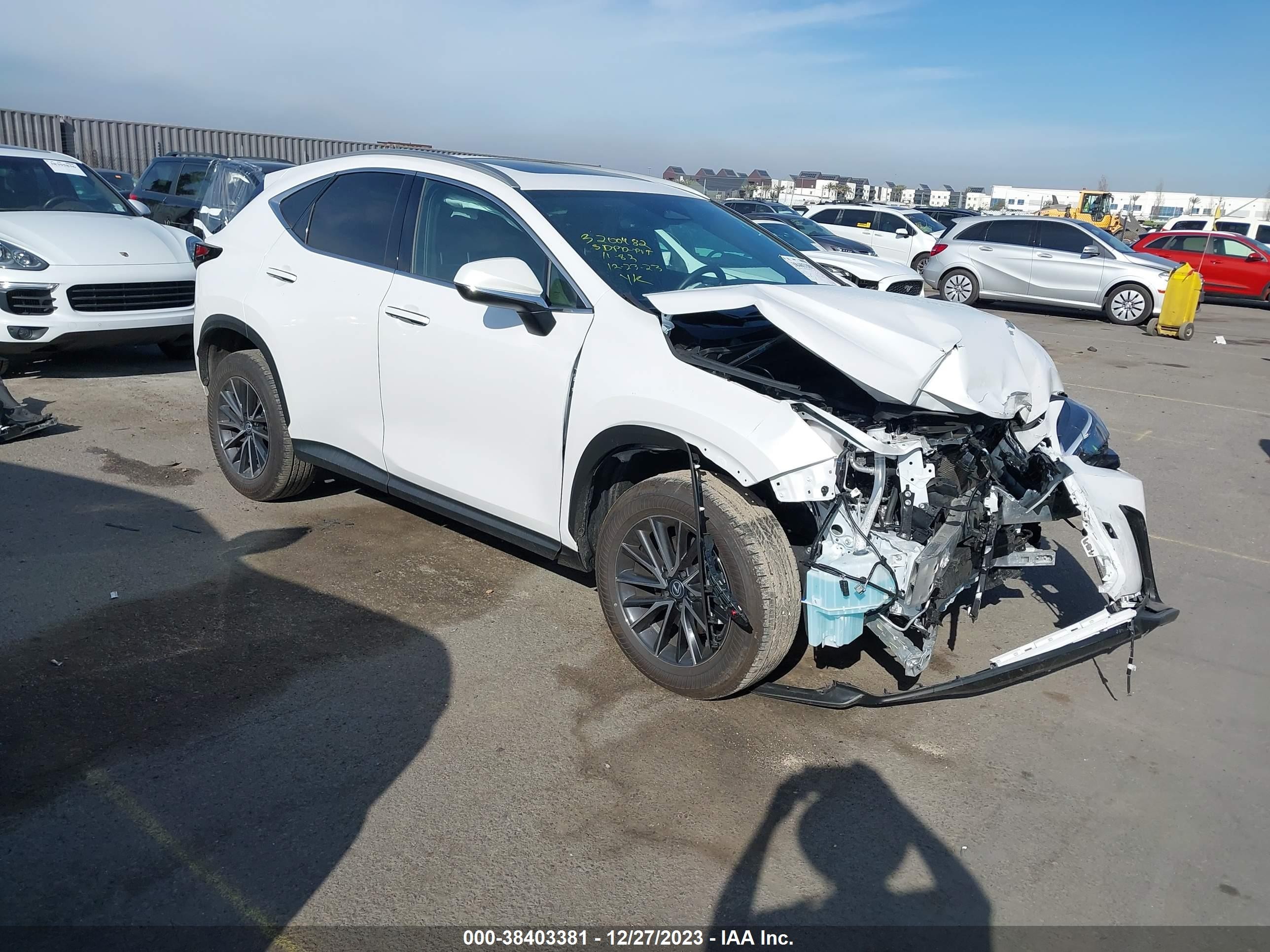 LEXUS NX 2024 2t2adcaz6rc010022