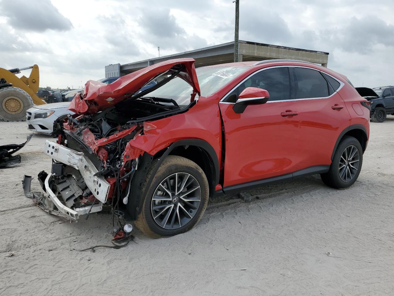 LEXUS NX 250 BAS 2024 2t2adcaz6rc013762