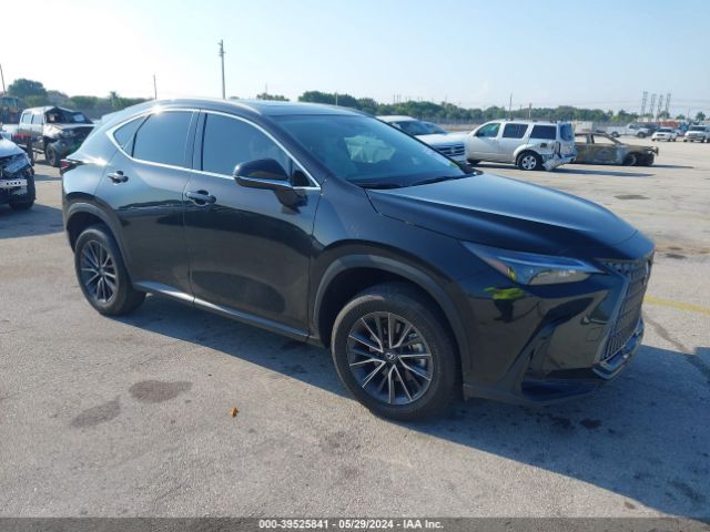 LEXUS NX 2024 2t2adcaz7rc010787