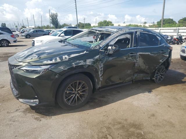 LEXUS NX 250 BAS 2024 2t2adcaz7rc013124