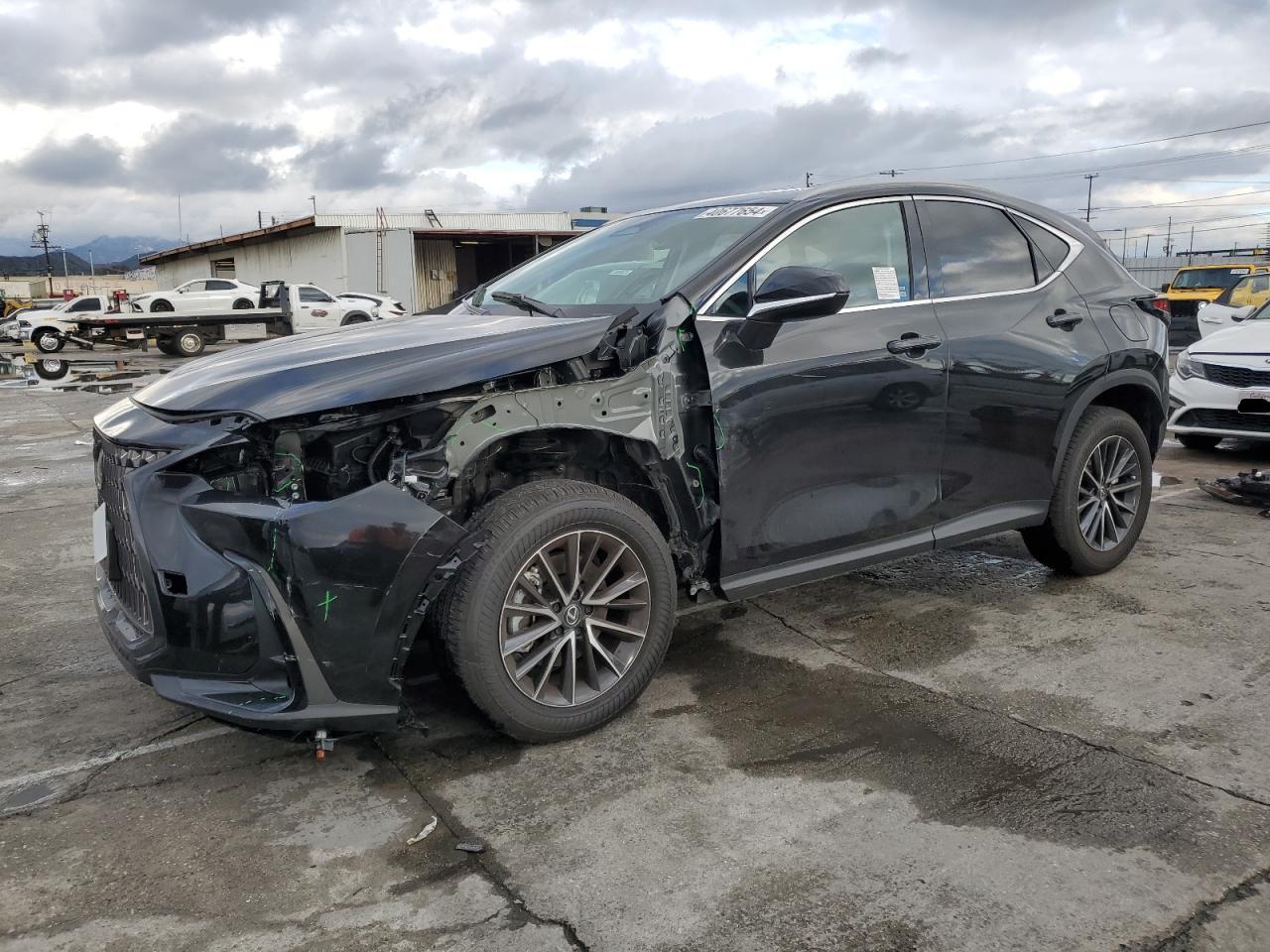 LEXUS NX 2024 2t2adcaz8rc012886