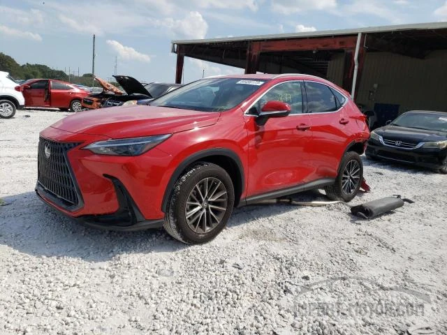 LEXUS NX 2023 2t2adcaz9pc004003