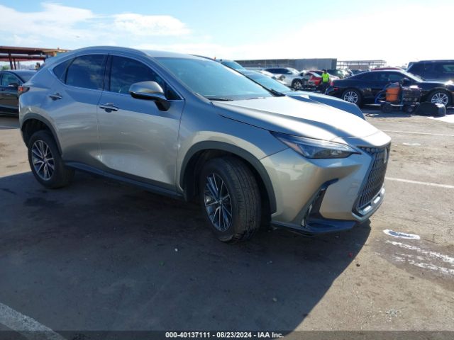 LEXUS NX 2024 2t2adcaz9rc007938