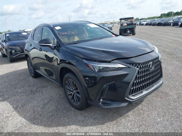 LEXUS NX 250 2024 2t2adcaz9rc013142