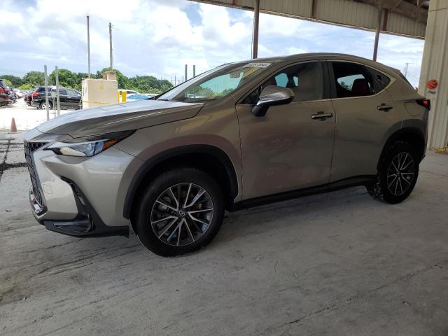 LEXUS NX 250 BAS 2024 2t2adcazxrc007222