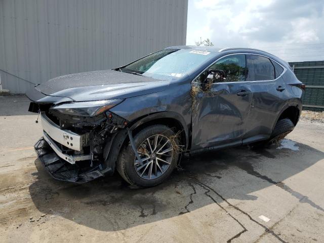 LEXUS NX 250 2023 2t2adcez5pc003991