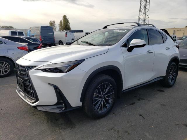 LEXUS NX 250 BAS 2024 2t2adcez7rc004367