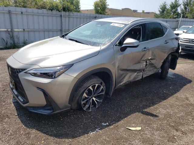 LEXUS NX 250 2023 2t2adcezxpc003615