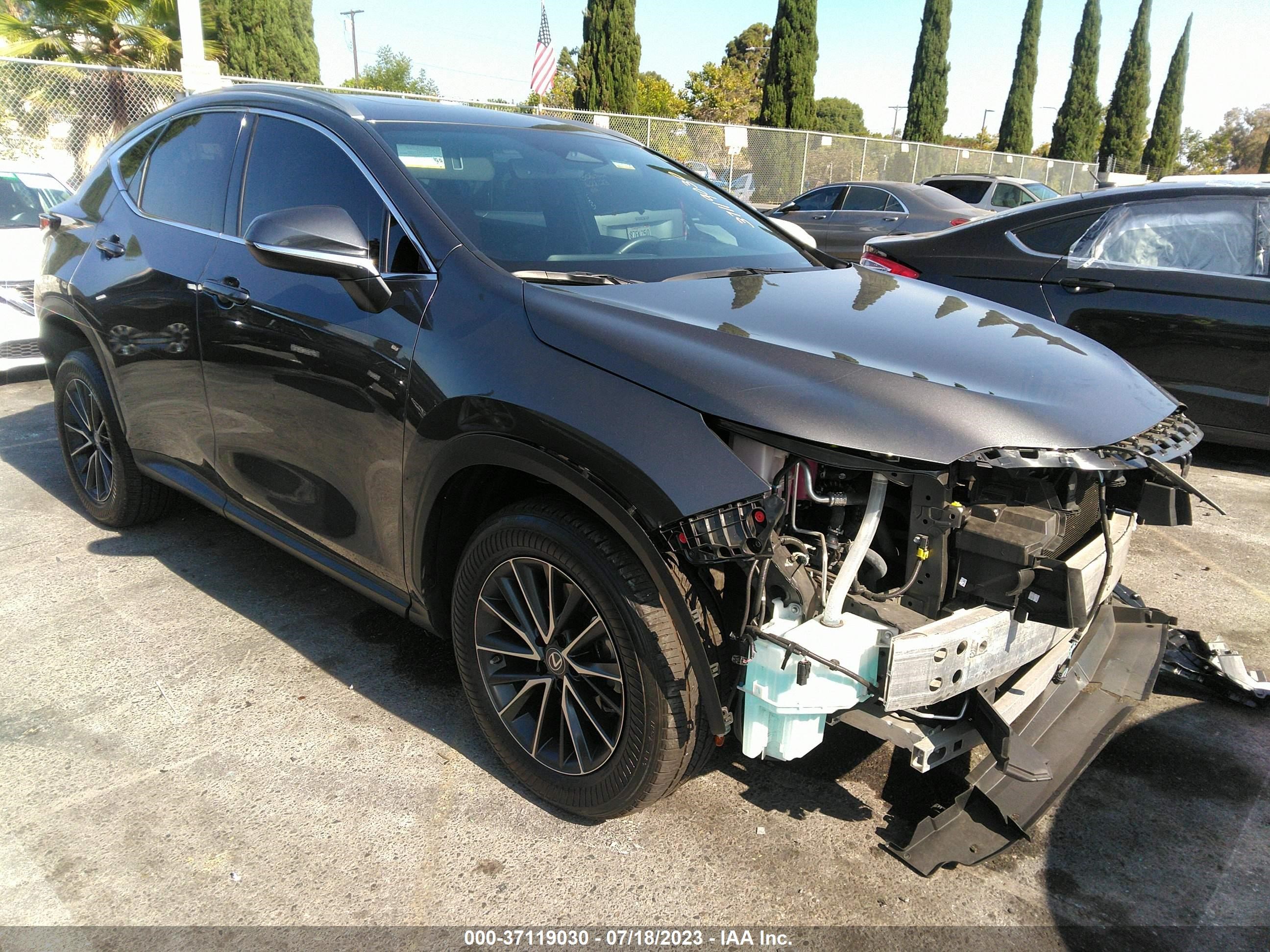 LEXUS NX 2022 2t2agcez2nc007792