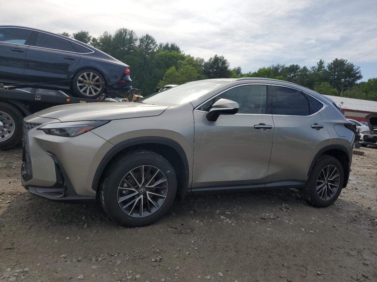 LEXUS NX 2023 2t2agcez4pc031160