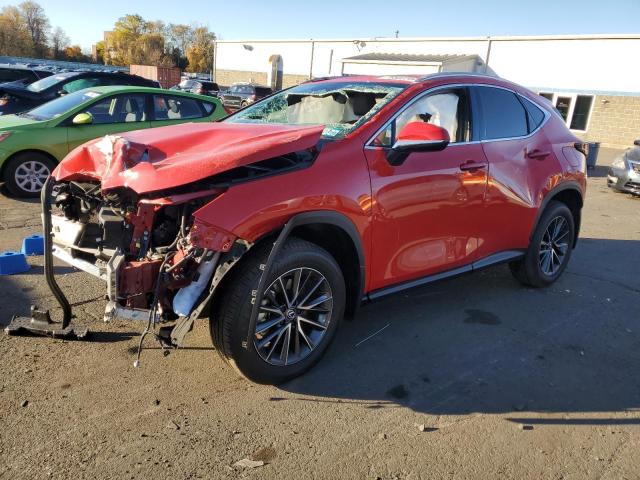 LEXUS NX 350 BAS 2024 2t2agcez5rc050948