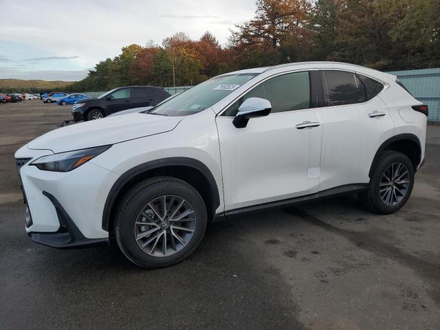 LEXUS NX 350 BAS 2024 2t2agcez6rc034080