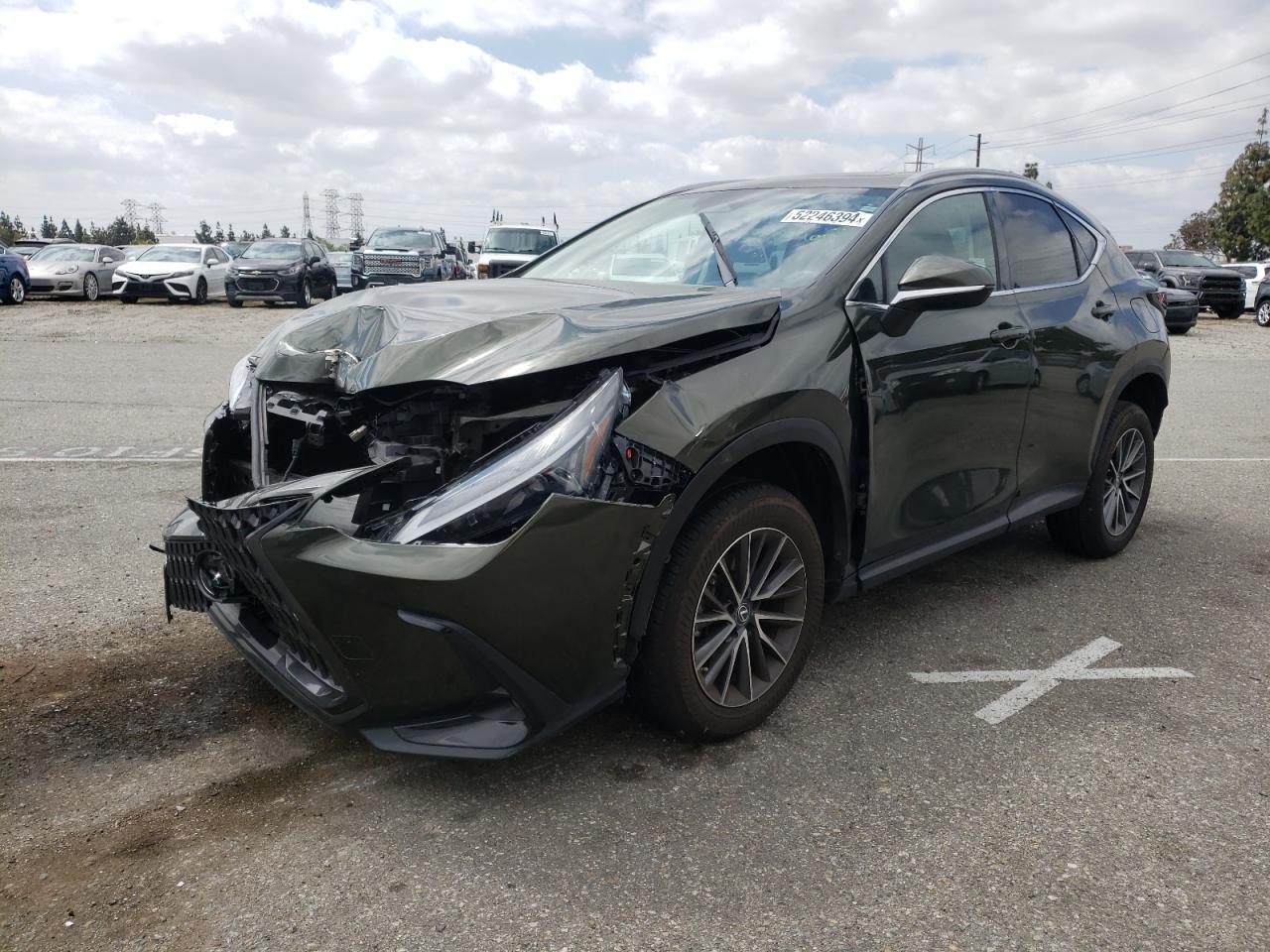 LEXUS NX 2022 2t2agcez8nc012849