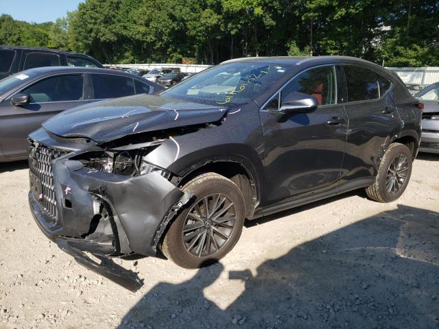 LEXUS NX 350 BAS 2024 2t2agcez8rc038227