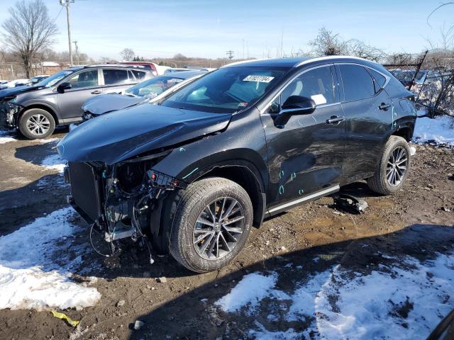 LEXUS NX 350 BAS 2024 2t2agcezxrc035068