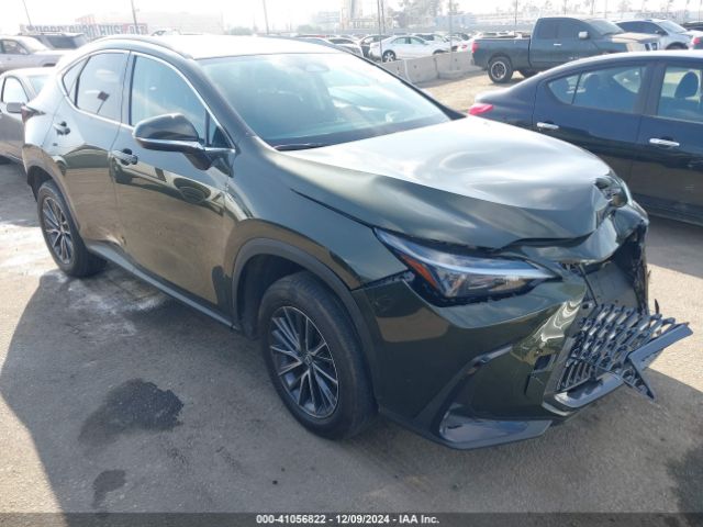 LEXUS NX 2024 2t2agcezxrc042490