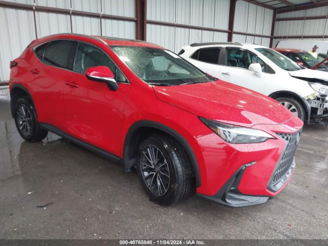 LEXUS NX 2024 2t2agcezxrc048905