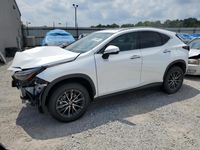 LEXUS NX 350H BA 2024 2t2akcez3rc029028