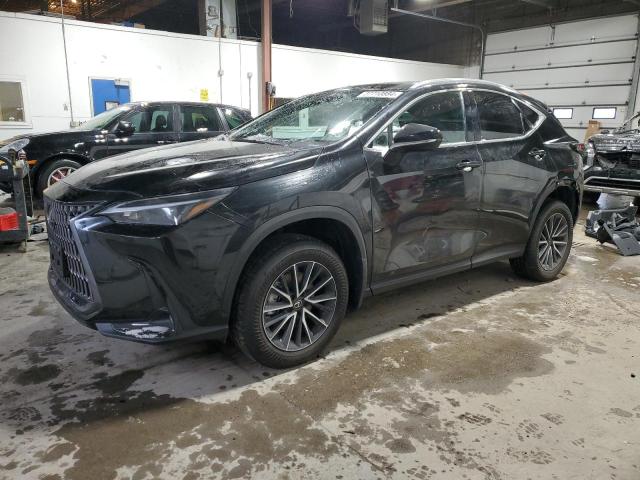 LEXUS NX 350H BA 2024 2t2akcez9rc016915