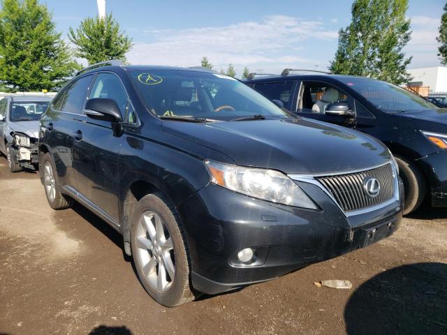 LEXUS NULL 2010 2t2bk1ba0ac013364