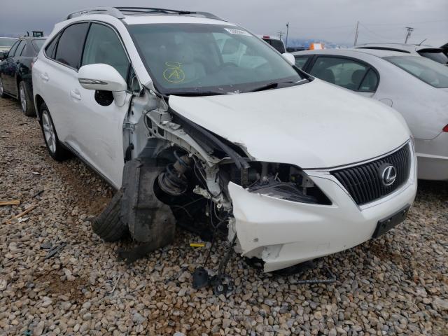 LEXUS RX 350 2010 2t2bk1ba0ac066808