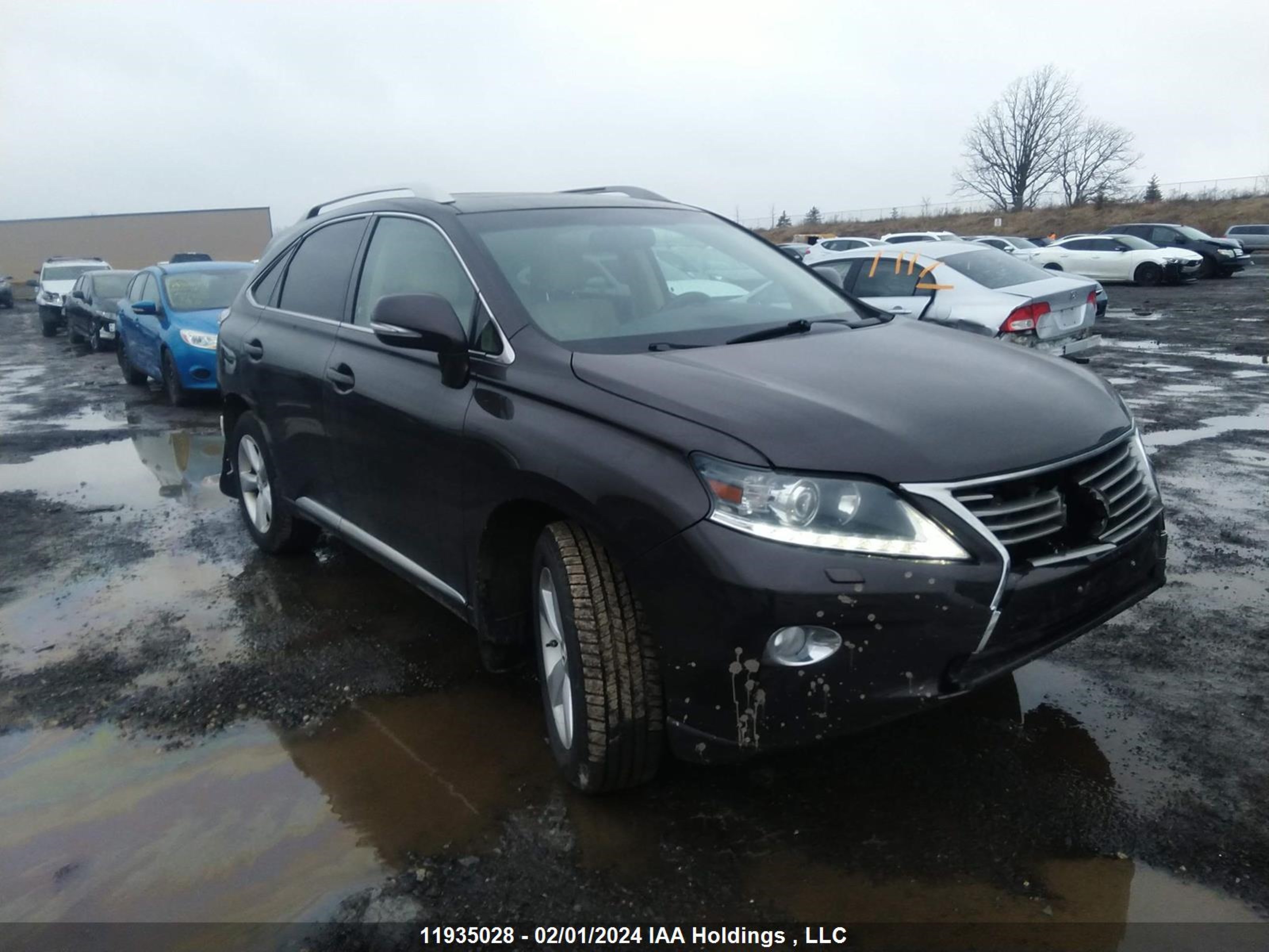 LEXUS RX 2014 2t2bk1ba3ec252333