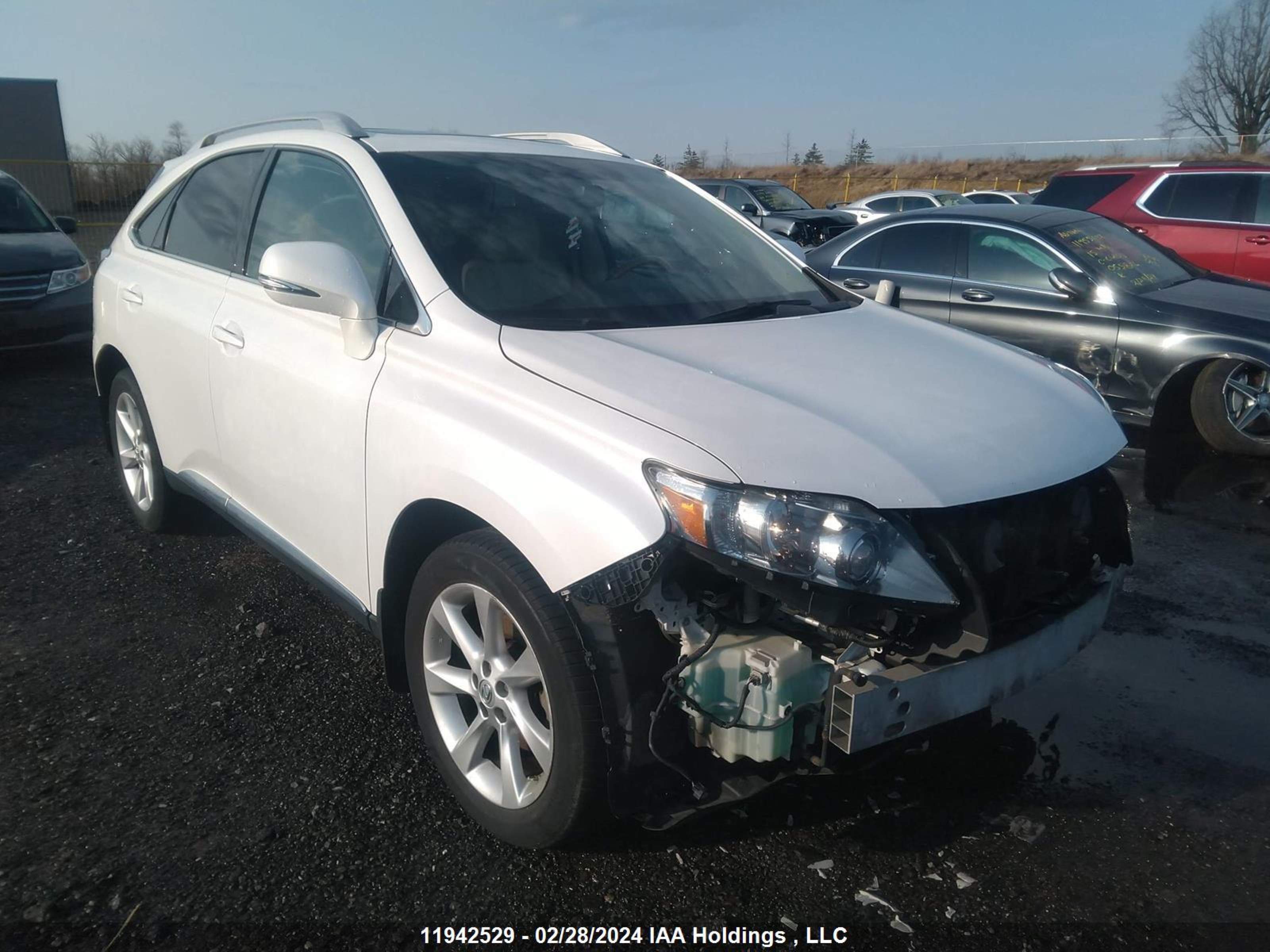 LEXUS RX 2010 2t2bk1ba4ac053060