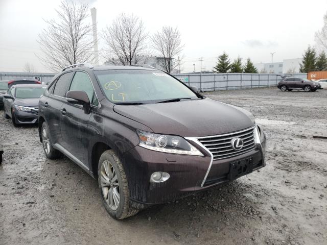 LEXUS RX 350 BAS 2013 2t2bk1ba4dc166270