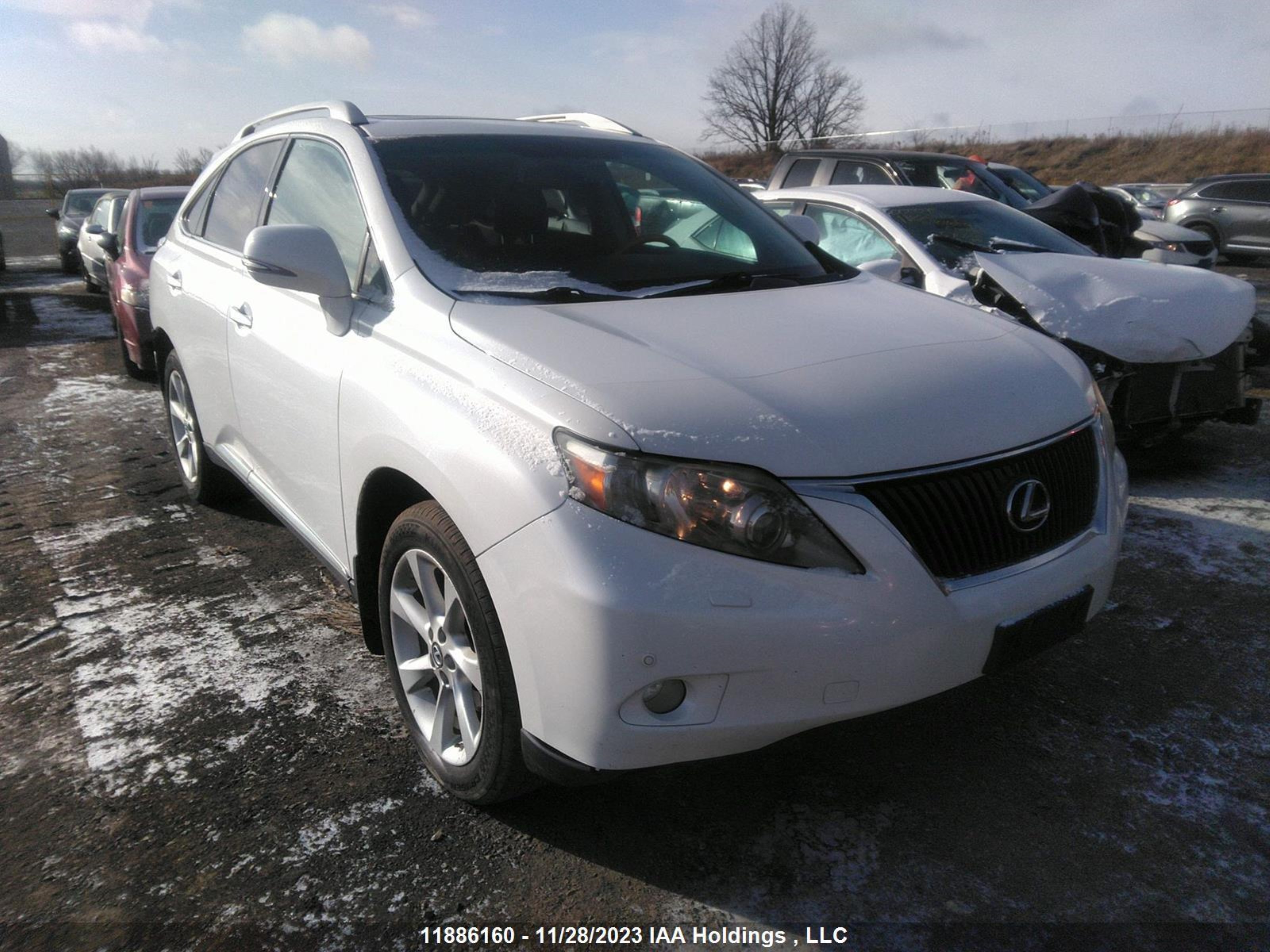 LEXUS RX 2011 2t2bk1baxbc113599