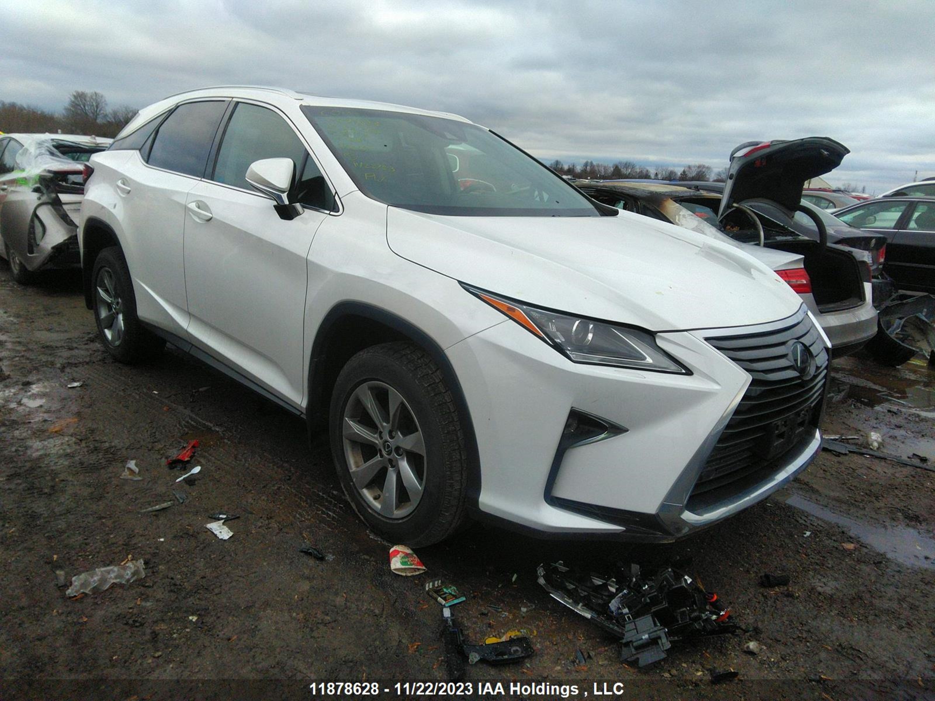 LEXUS RX 2019 2t2bzmca4kc181957