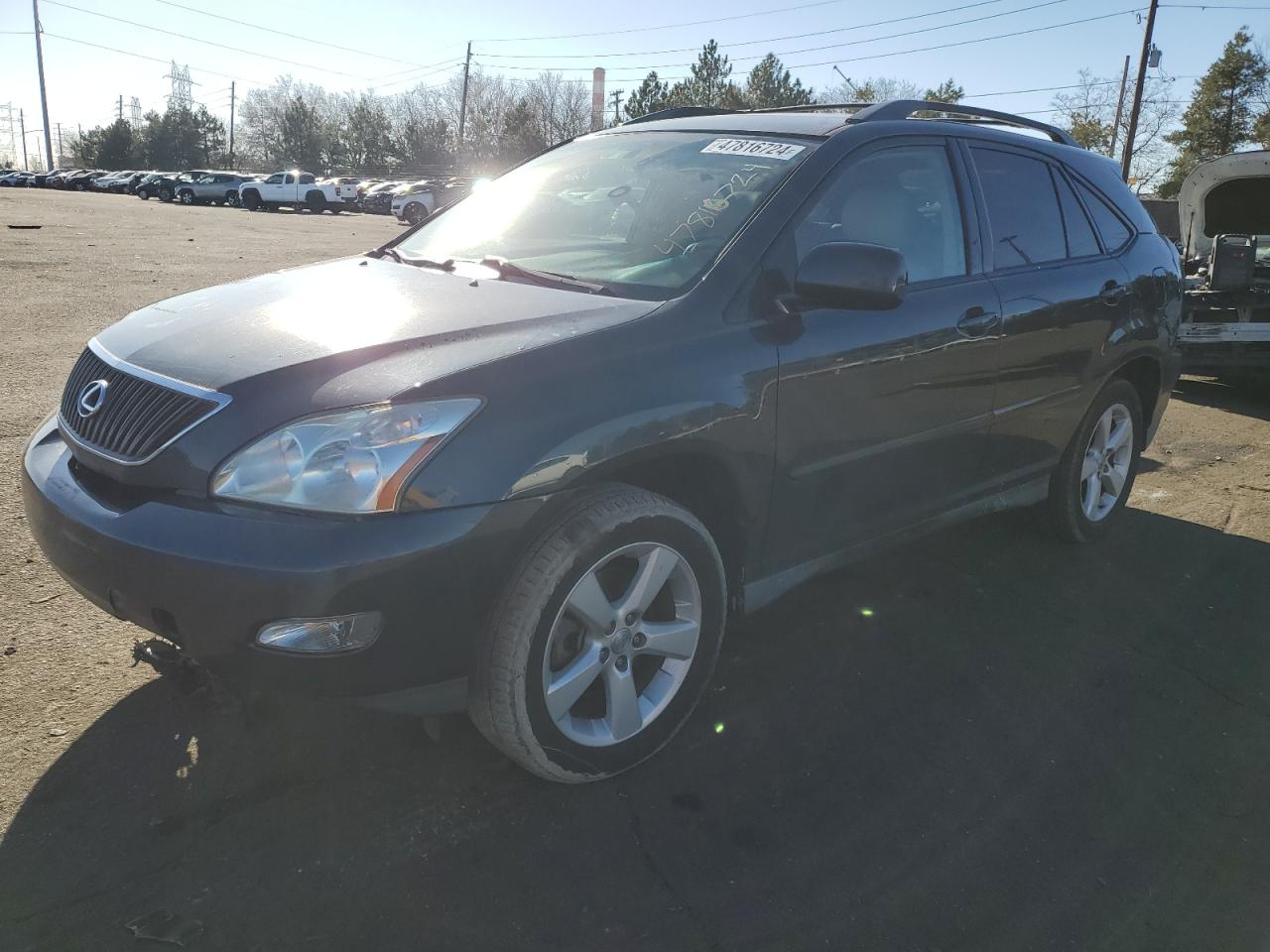 LEXUS RX 2004 2t2ga31u94c006434