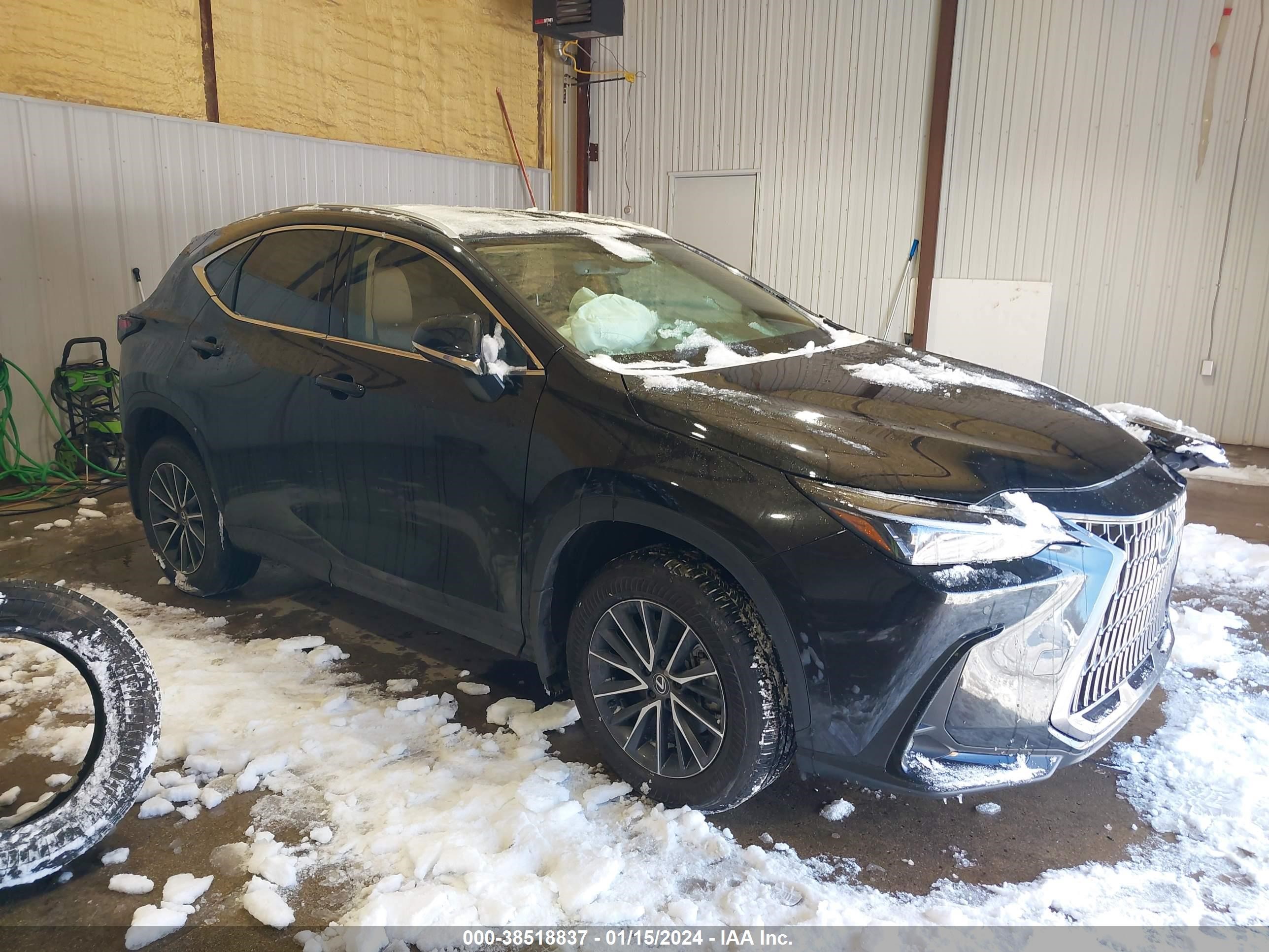 LEXUS NX 2024 2t2gdcaz0rc006039