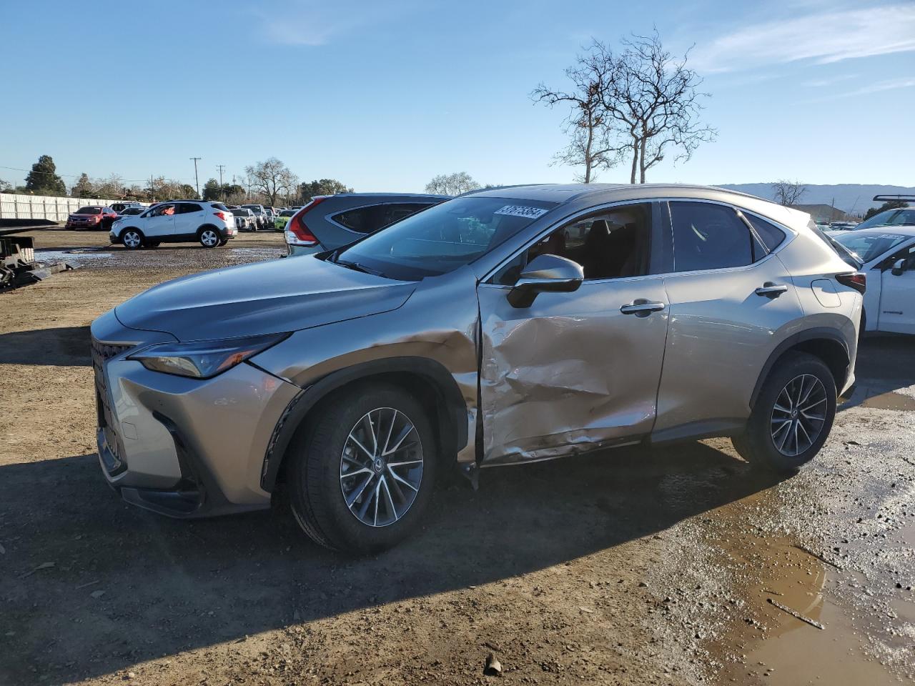 LEXUS NX 2024 2t2gdcaz0rc007515