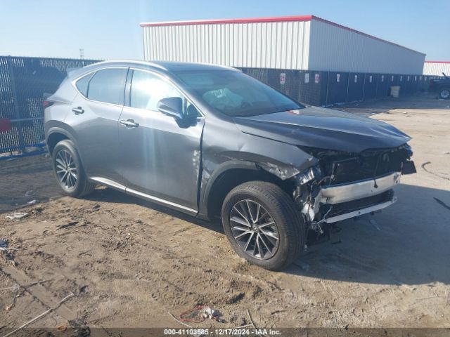 LEXUS NX 2024 2t2gdcaz0rc008020