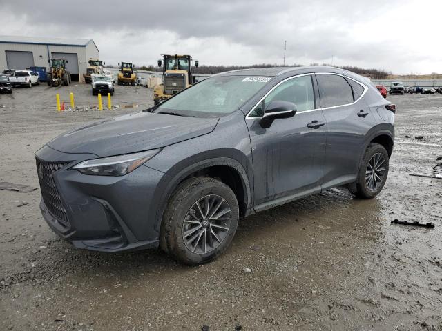 LEXUS NX 250 2022 2t2gdcaz2nc001872