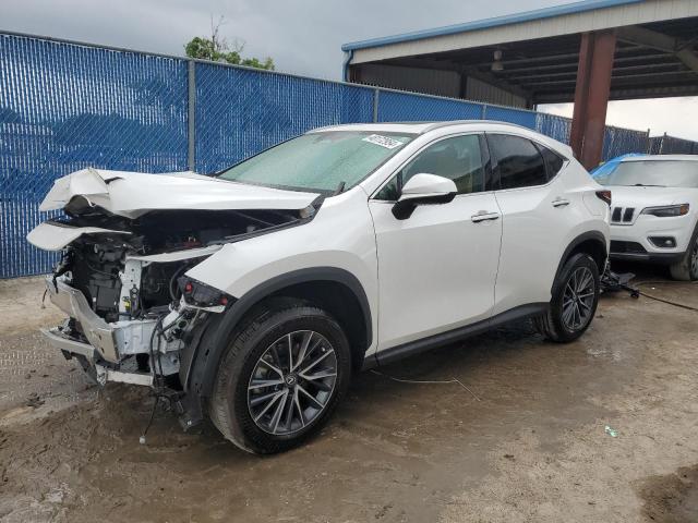 LEXUS NX 250 PRE 2024 2t2gdcaz2rc007788