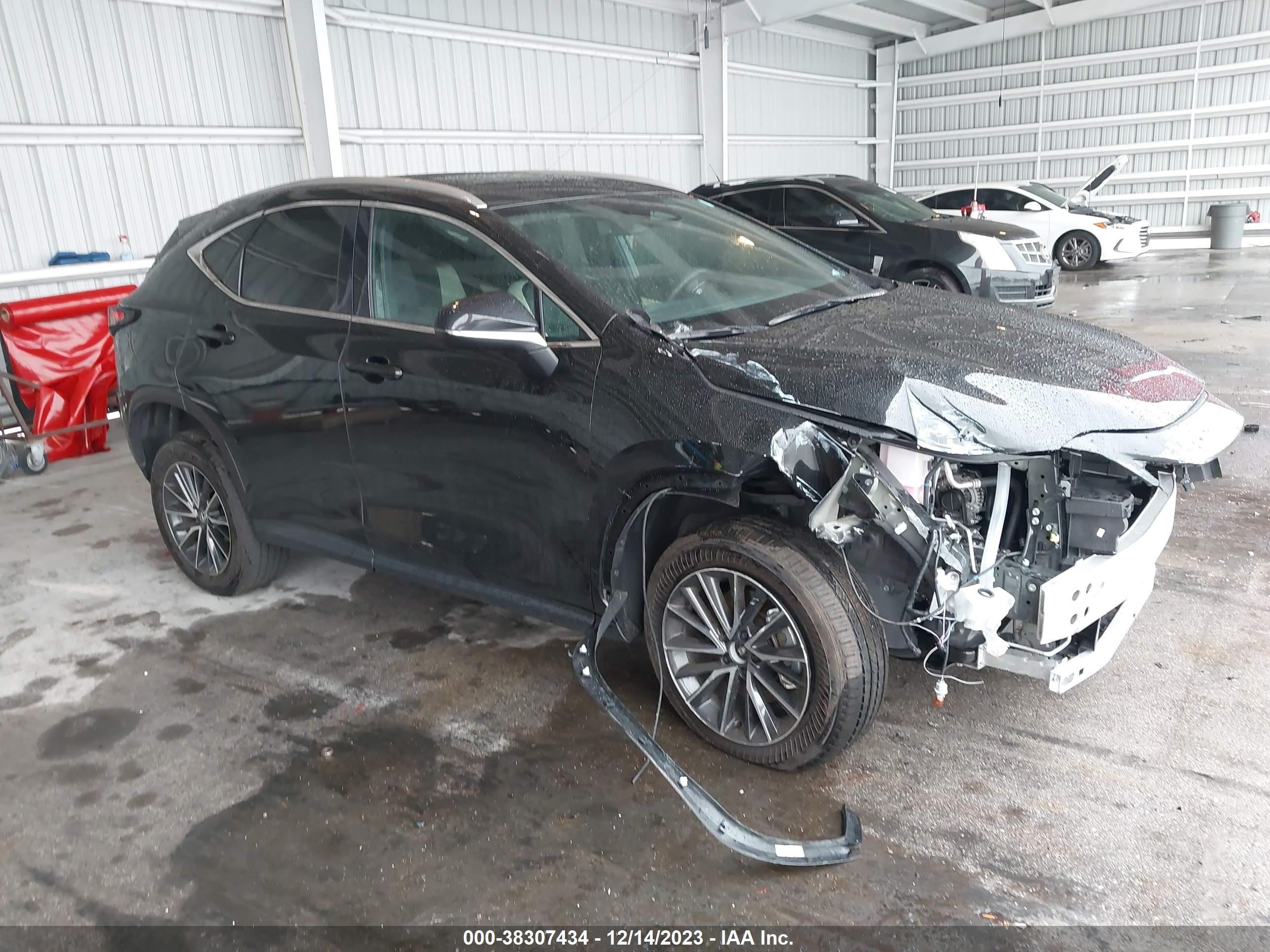 LEXUS NX 2024 2t2gdcaz2rc009444