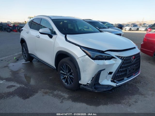 LEXUS NX 2024 2t2gdcaz5rc014945