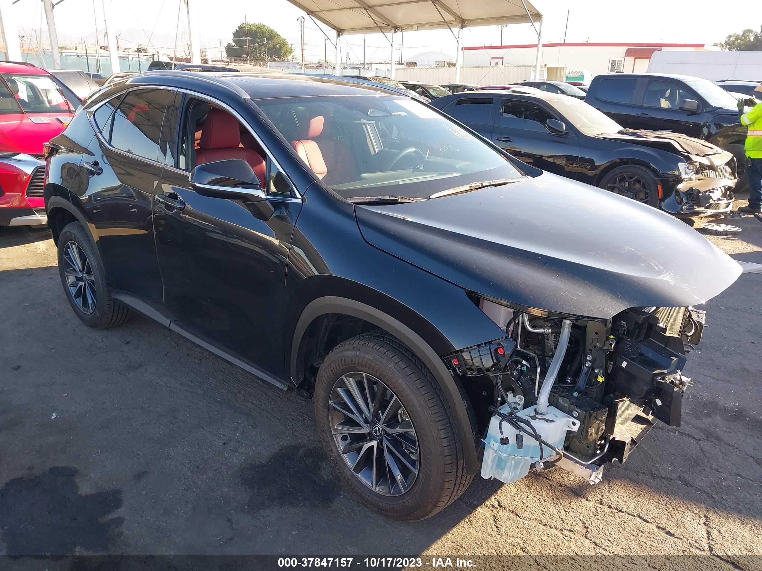 LEXUS NX 2024 2t2gdcaz6rc008863