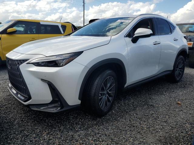 LEXUS NX 250 PRE 2024 2t2gdcaz6rc014369