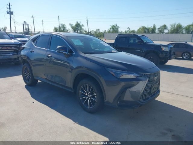 LEXUS NX 2024 2t2gdcaz8rc013529